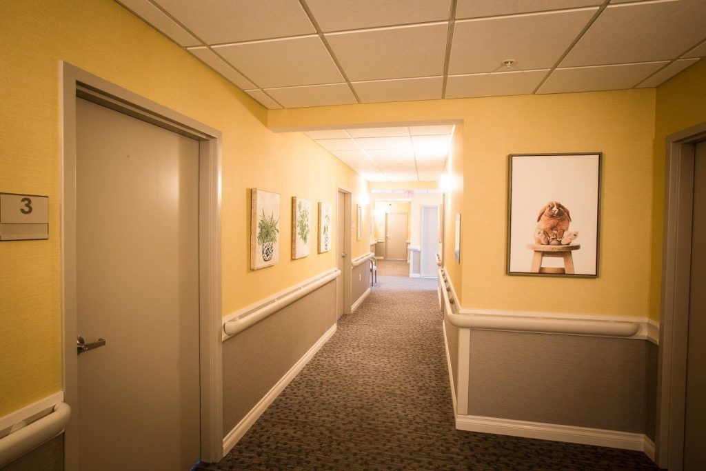 Well-lit hallway with decorative plants on the walls