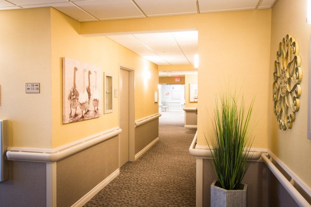 Bright interior hallway with decorative elements