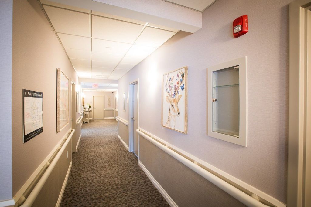 Well-lit hallway with artwork and display case