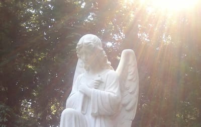 Sunlit statue of an angel in a garden