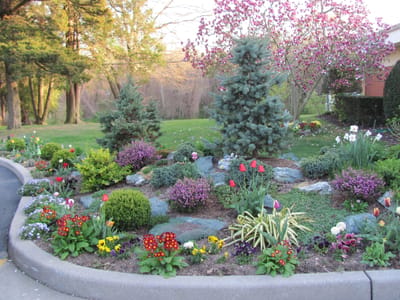 Well-maintained outdoor garden with flowers