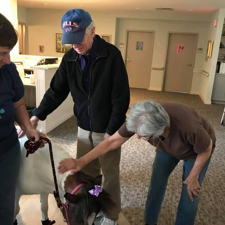 Residents interacting with a therapy dog indoors.