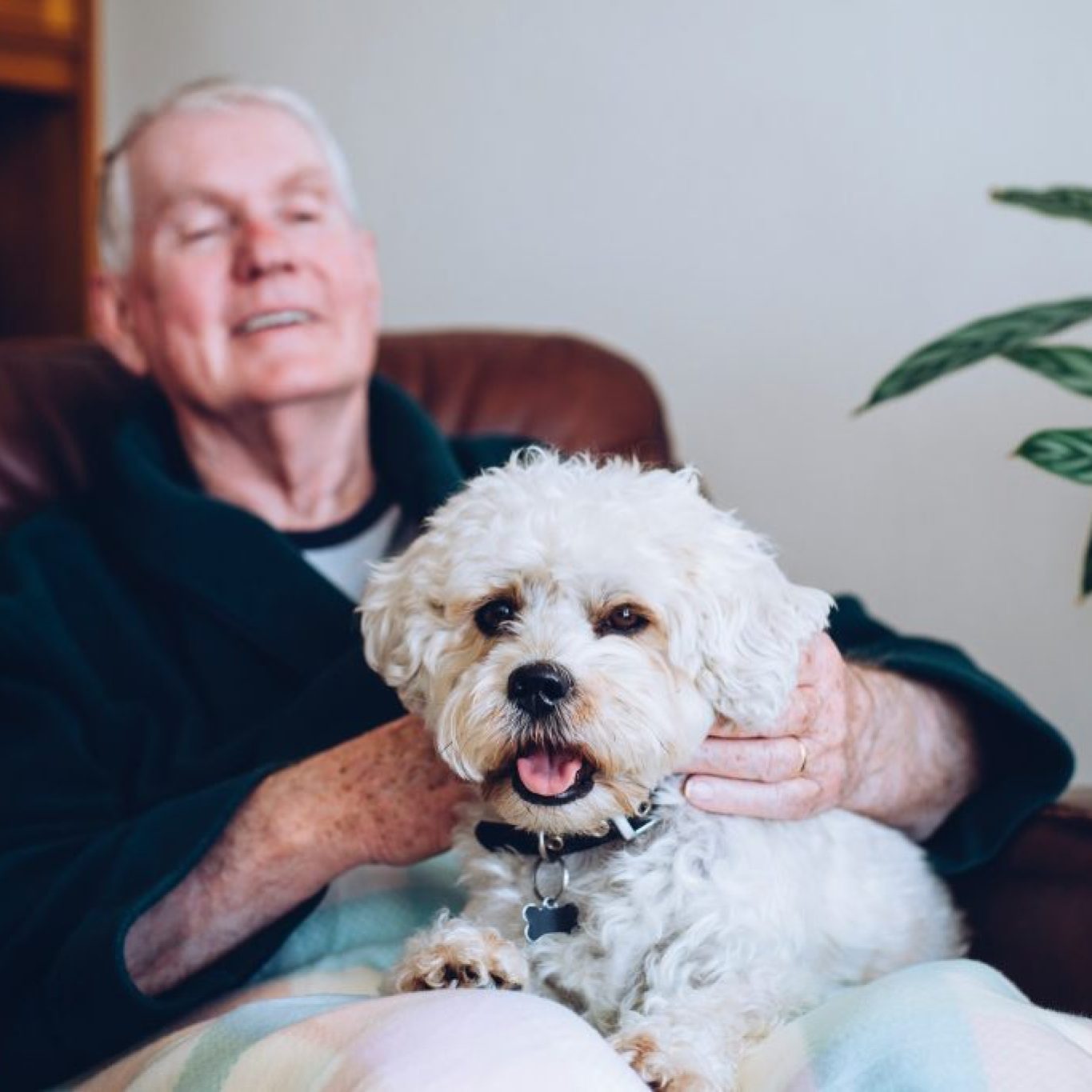 Senior man with a dog in a cozy indoor setting.