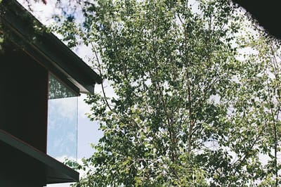 Exterior view of a building and tree