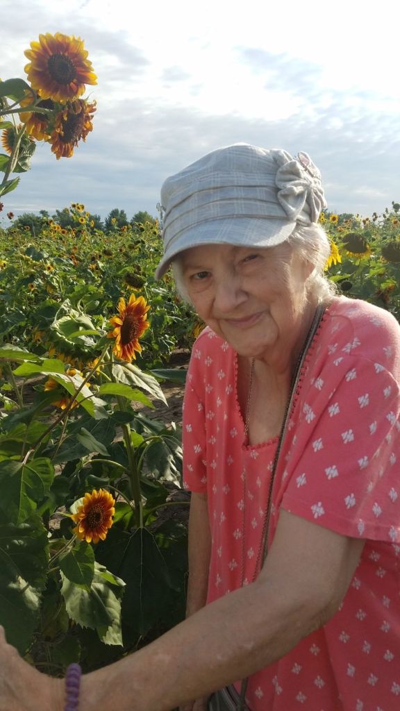 Elderly woman in a sunflower field.