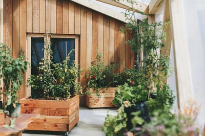 Indoor garden with wooden planters and plants