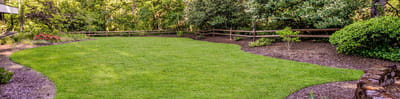 Well-maintained outdoor garden space