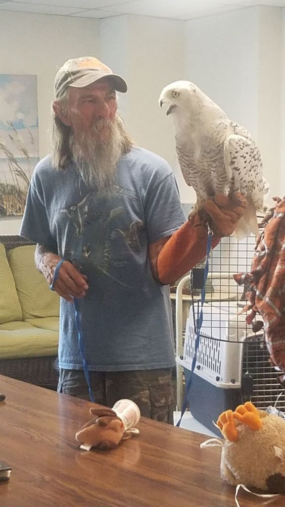 Person holding a hawk in a living area.