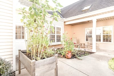 Outdoor area with plants and seating