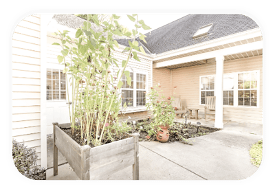 Outdoor garden area with seating and plants.