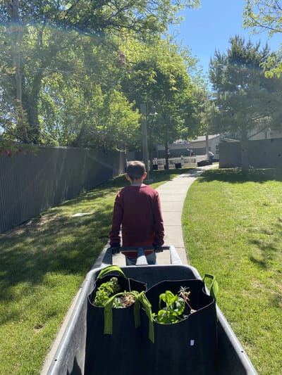 Child pushing a cart with plants in a garden area.