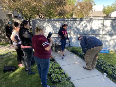 Group of people working in a garden