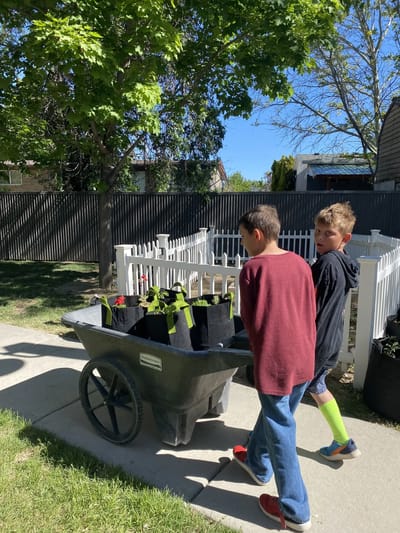 Children helping with gardening activities