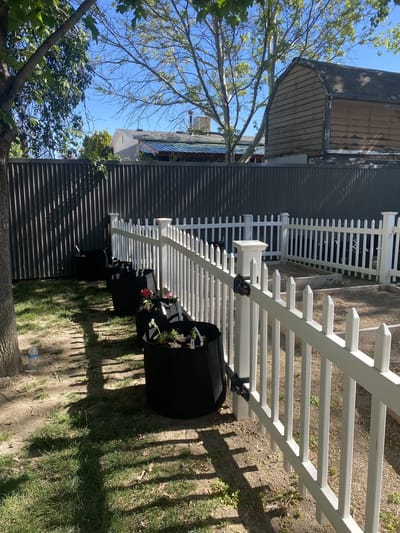 Fenced garden area with planters and a tree.