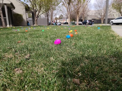 Colorful Easter eggs scattered on grass