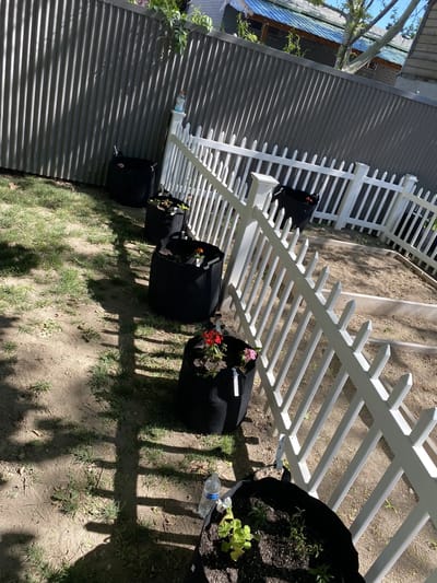Garden space with planting bags and fence