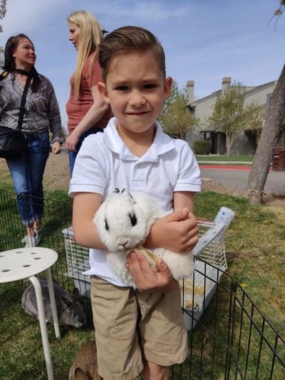 Child holding a rabbit outdoors during an activity.