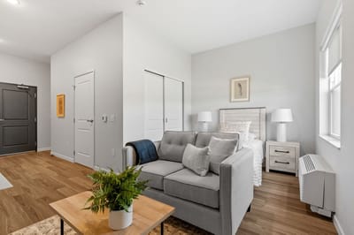 Bright living space with a sofa and bed.