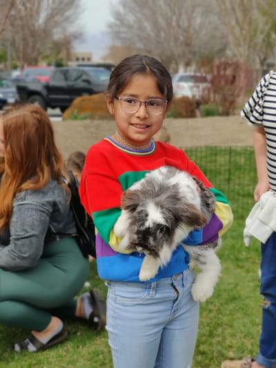 Child holding a rabbit in an outdoor setting.