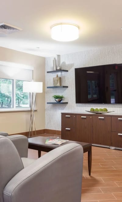 Cozy lounge area with contemporary furniture