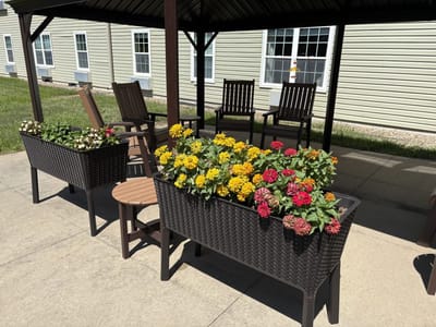 Outdoor seating area with flowers in planters