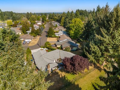 Aerial view of a residential neighborhood with trees