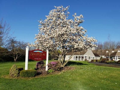 Exterior view of Sunset Home with blooming tree