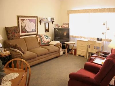 Cozy living room interior with a sofa and TV.
