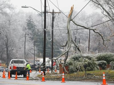 Tree branch down on a street with cones.