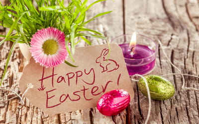 Easter decoration with flowers and eggs