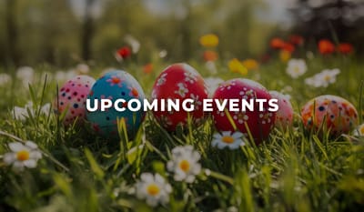 Colorful Easter eggs in grass