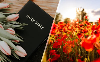 A Bible and flowers with a field of poppies