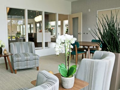 Comfortable seating area with a plant centerpiece.