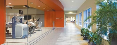 Physical therapy area with equipment and natural light