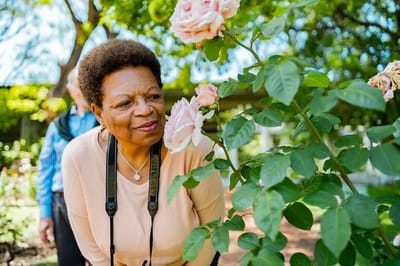 Resident admiring blooming roses in the garden