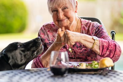 Senior woman enjoying a meal outdoors with a dog