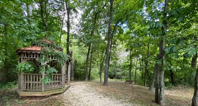 Outdoor gazebo surrounded by trees in a serene setting