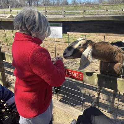 Resident feeding a goat at an outdoor petting area