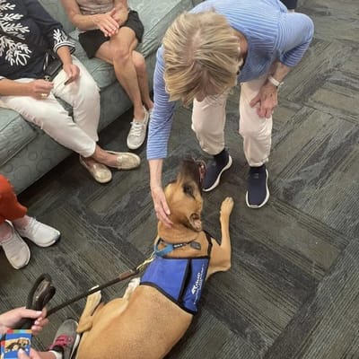 Resident interacting with a therapy dog in a common area