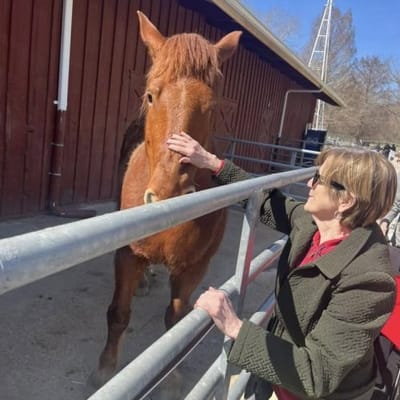 A resident interacting with a horse at a therapeutic farm.
