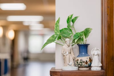 Decorative corner with plants and figurines in a hallway