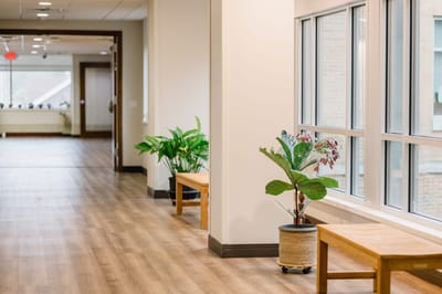 Bright corridor with plants and benches
