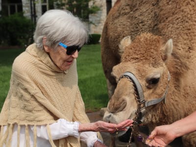 Resident feeding a camel in a garden setting