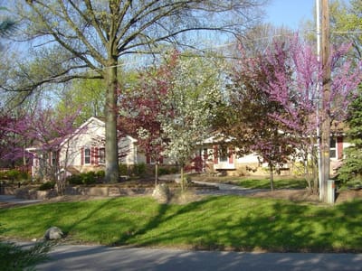 Exterior view of a senior care facility surrounded by blooming trees