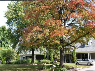 Exterior view of Dolan Memory Care with autumn trees