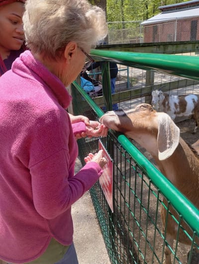Resident feeding a goat at a petting zoo