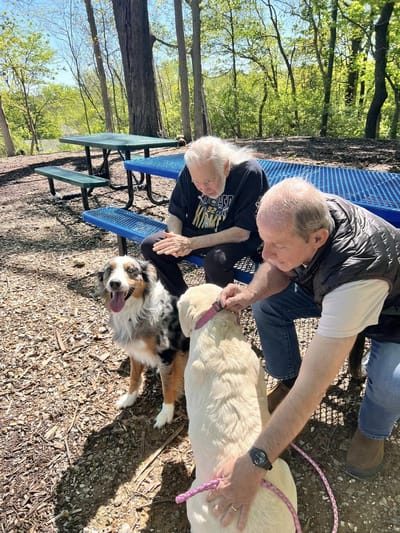 Residents enjoying outdoor time with dogs in a park