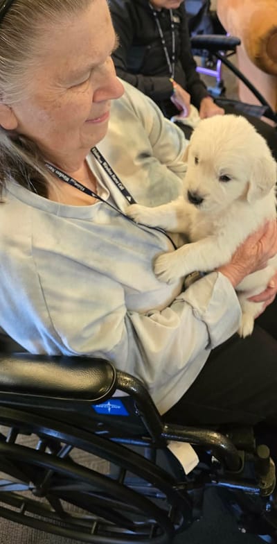 Resident holding a puppy in a common area