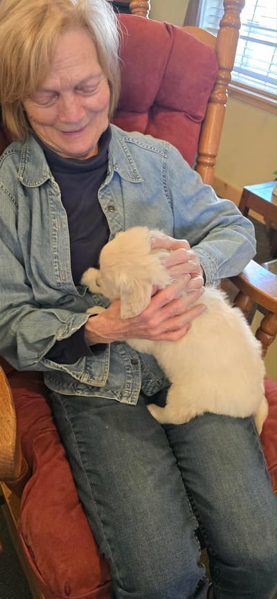 A resident holding a puppy in a cozy chair