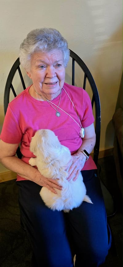 Resident holding a puppy in a cozy room